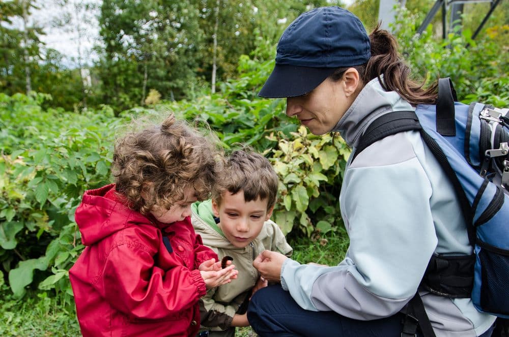 Sunhouse Nature School