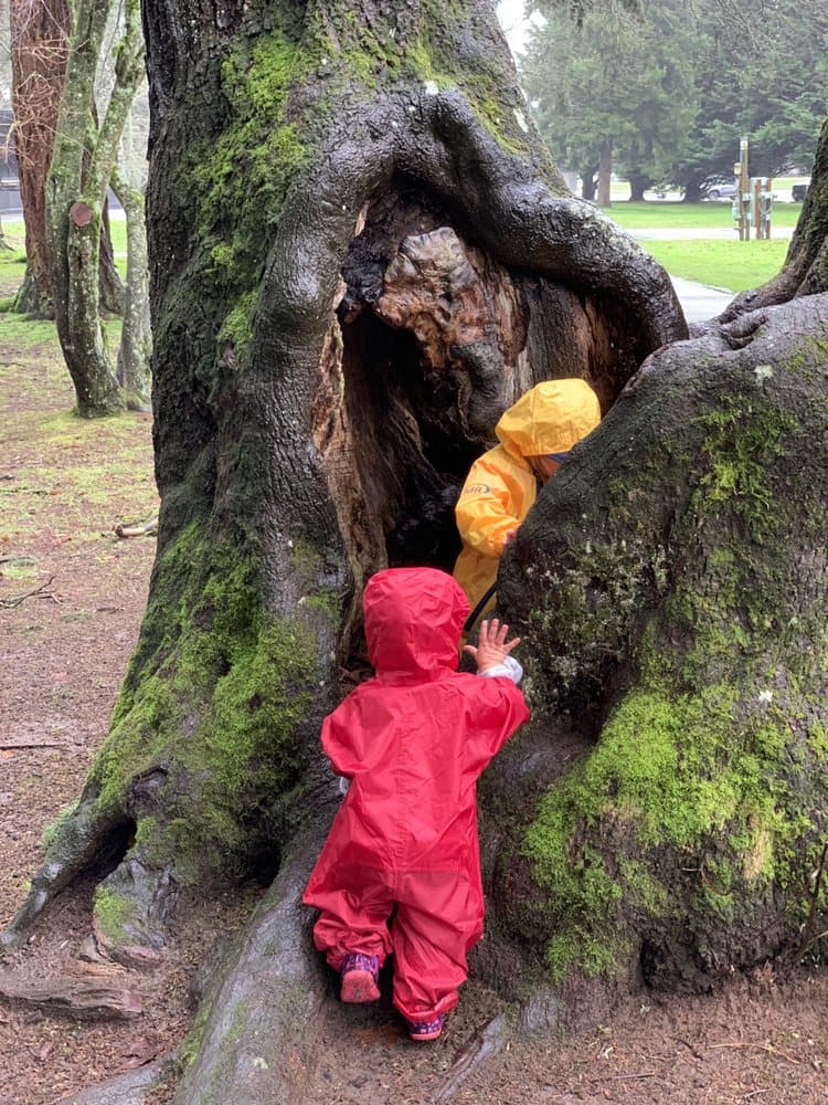 Lake Washington Toddler Group